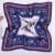 foulard carré en soie petit n°01